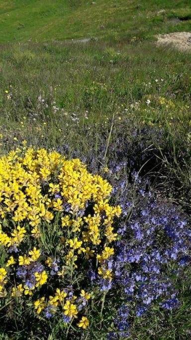 A Cordon Entre Bois Et Nature Exterior foto