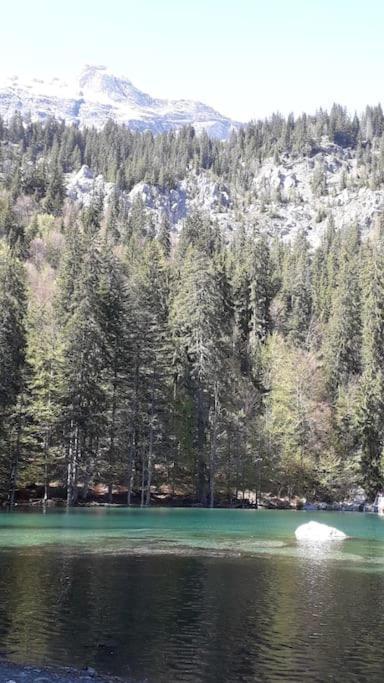 A Cordon Entre Bois Et Nature Exterior foto